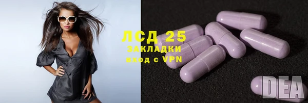 гашик Кукмор