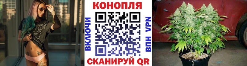 МЕГА как зайти  Лесной  Каннабис гибрид 